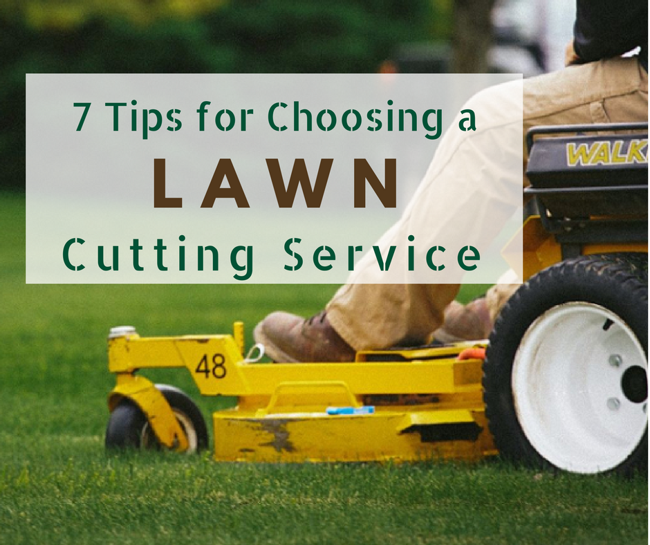 Lawn Cutting Service Near Me Prices